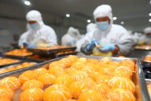天然之选，安全保障 | 赋能果蔬加工无损检测新阶段